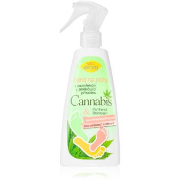 Bione Cosmetics Cannabis spray do nóg 260 ml