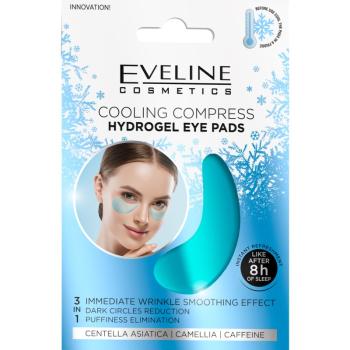 Eveline Cosmetics Hydra Expert maska hydrożel wokół oczu z efektem chłodzącym 2 szt.