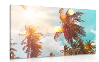 Obraz promienie słońca między palmami - 120x80