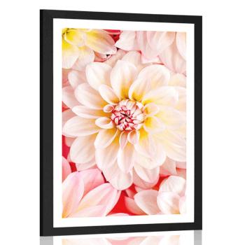 Plakat z passe-partout pastelowe kwiaty dalii - 30x45 black
