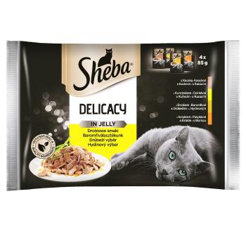 SHEBA Delicacy in Jelly Smaki Drobiowe saszetki w galaretce 52 x 85g
