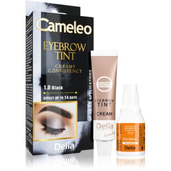 Delia Cosmetics Cameleo kremowa, profesjonalna farbka do brwi bez amoniaku odcień 1.0 Black 15 ml