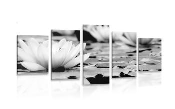 5-częściowy obraz kwiat lotosu w czarnobiałym kolorze - 100x50