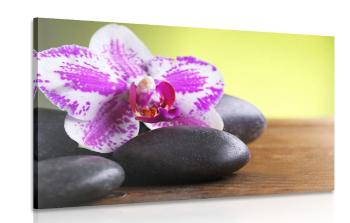 Obraz czarne kamienie z orchideą
