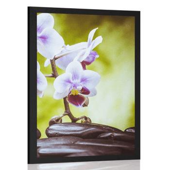 Plakat kamienie zen i orchidea - 40x60 white