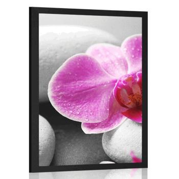 Plakat kwiaty orchidei na białych kamieniach - 30x45 black
