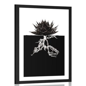 Plakat passepartout nieśmiertelność roślin - 20x30 black