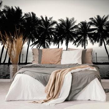 Samoprzylepna tapeta zachód słońca nad palmami w czerni i bieli - 300x200