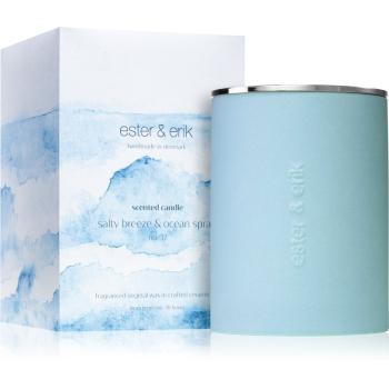 ester & erik scented candle salty breeze & ocean spray (no. 37) świeczka zapachowa 350 g