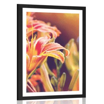 Plakat z passe-partout piękne kwitnące kwiaty w ogrodzie - 60x90 white