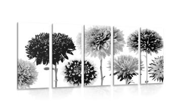 5-częściowy obraz kwiaty dalii w różnym dizajnie w czarnobiałym kolorze - 100x50