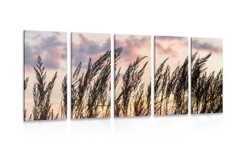 5-częściowy obraz trawa o zachodzie słońca - 100x50