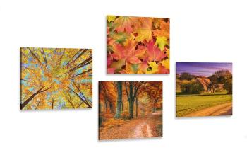 Zestaw obrazów przyroda w jesiennych kolorach - 4x 40x40