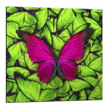 Obraz Styler Glasspik Green Butterfly, 20x20 cm