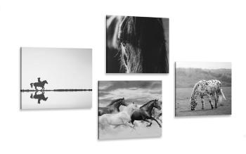 Zestaw obrazów dla miłośników koni w wersji czarno-białej - 4x 60x60