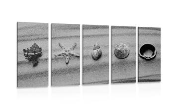 5-częściowy obraz muszle na piaszczystej plaży w wersji czarno-białej - 100x50