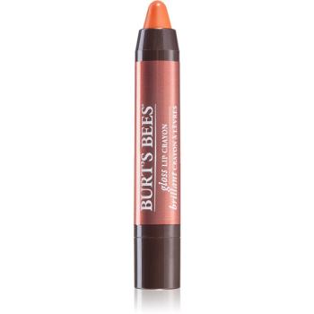 Burt’s Bees Glossy Lip Crayon szminka nabłyszczająca w w pisaku odcień Santorini Sunrise 2.83 g