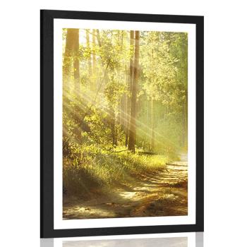 Plakat z passe-partout promienie słońca w lesie