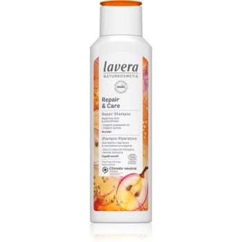 Lavera Repair & Care szampon regenerujący do włosów suchych 250 ml