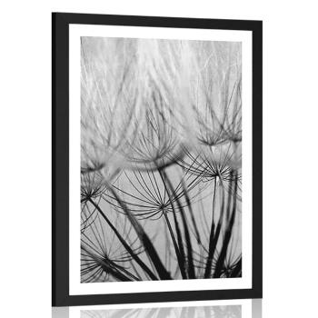 Plakat z passe-partout nasiona dmuchawca w czerni i bieli - 60x90 silver